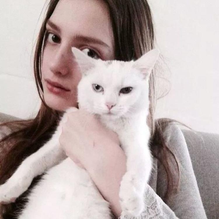 transfertop@Dashiell